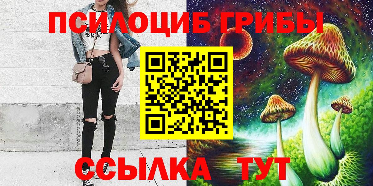 Димитровград  Галлюциногенные грибы Cubensis  Вход с VPN  Псилоцибиновые грибы MAGIC MUSHROOMS 