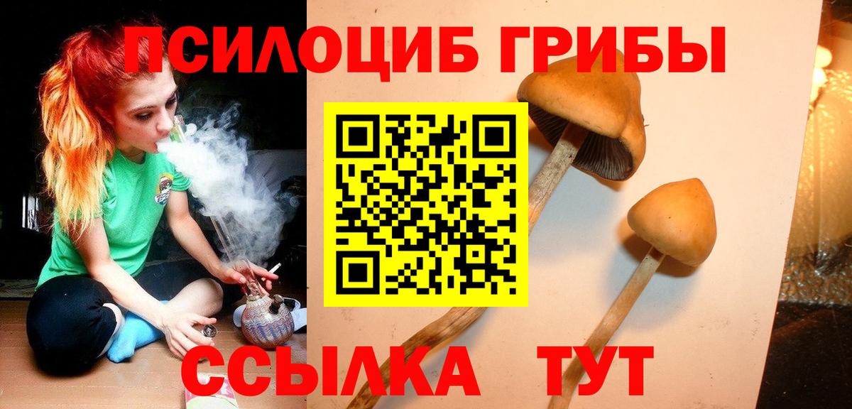 Галлюциногенные грибы Magic Shrooms Димитровград